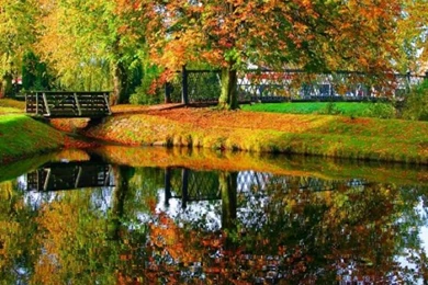 Fall Backgrounds   Bing Images