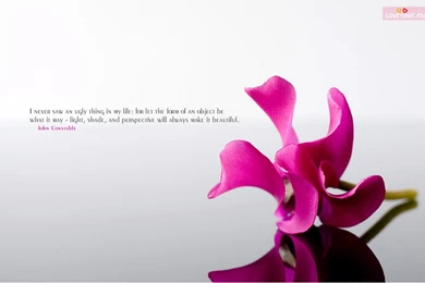 Wallpapers of broken friendship