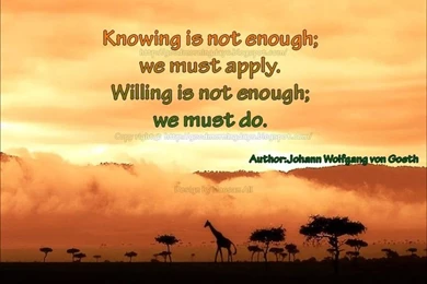 Self Motivation Quotes