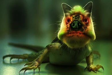 Crazy Motocross Wallpapers, Crazy Motocross Backgrounds, Crazy ...