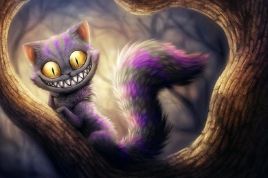 Crazy Cat Wallpapers For Android   Android Live Wallpapers Download ...
