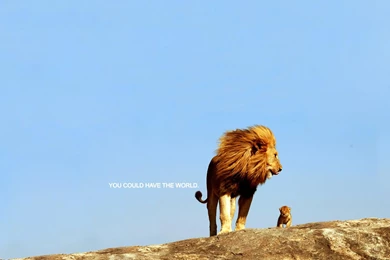 Inspirational Desktop Background.jpg