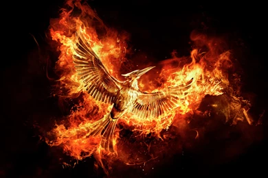 Hunger Games Mockingjay Part 2 Wallpapers