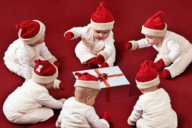 Funny Christmas Wallpapers   Christmas Day Wishes Or Messages ...