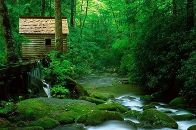 Beautiful Nature Wallpapers