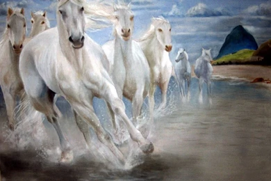 Seven Horses By Airwind080 On DeviantArt