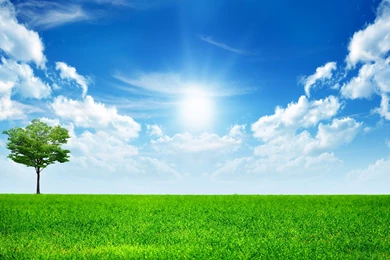 Natural Hd Wallpapers For Desktop