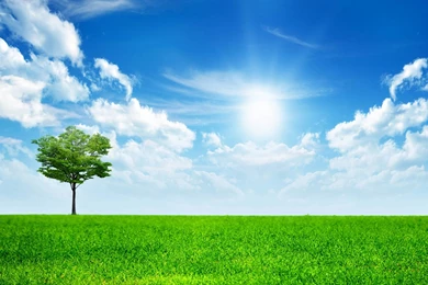 These Are Our Nature Backgrounds Including Some Beaches And Some ...