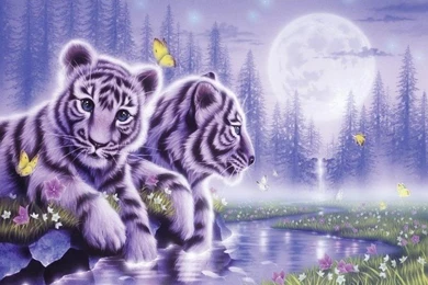 Cats: BABIES POOL Water Tigers White PCs Tiger Wallpapers Pictures ...