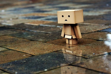 Danbo Wallpapers