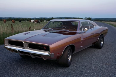 1969 Dodge Charger Wallpapers   Image