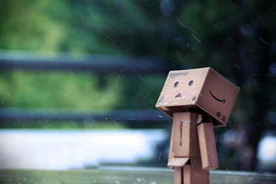 Sad Danbo Wallpapers
