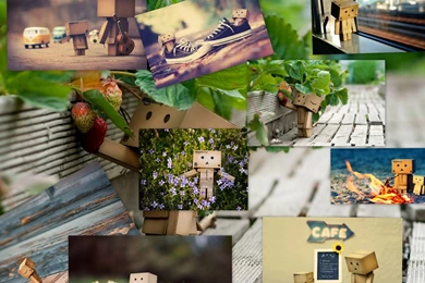 Danbo Theme For Windows 7 And 8