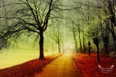 Fine Art Wallpapers Archives   UltraHdWall.Com