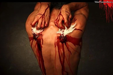 Shadow Angel Computer Wallpapers, Desktop Backgrounds