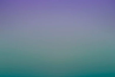 Photography By Eric Cahan   Image