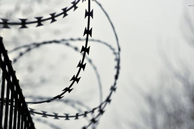 Jestingstock.com Barbed Wire Fence Wallpapers