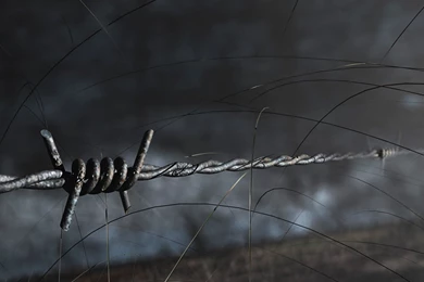 Jestingstock.com Barbed Wire Fence Wallpapers