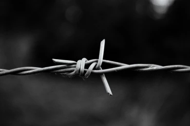 Metal, Monochrome, Macro, Barbed Wire :: Wallpapers