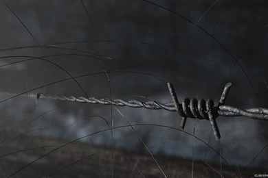 22 Barb Wire HD Wallpapers