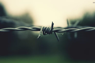 Barbed Wire Wallpapers Photography Wallpapers