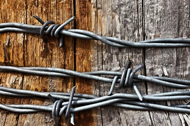 22 Barb Wire HD Wallpapers