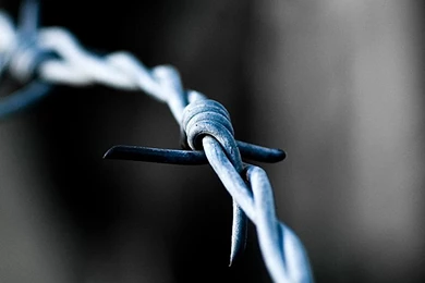 Barbed Wire iPhone 4s Wallpapers Download