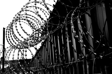 BARBED BARRIER WALLPAPER   (