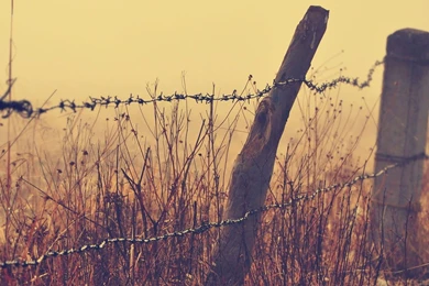 Barb Wire Wallpapers   Wallpapers Cave