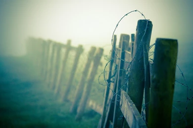 Barbed Wire Fences   Wallpaper.