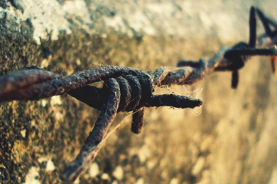 Rusty Barbed Wire Wallpapers And Images   Wallpapers, Pictures, Photos