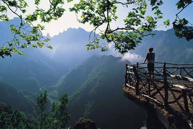 Fogg on mountains.jpg