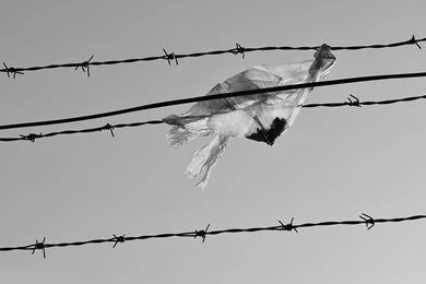 Plastic Bag Caught In Barbed Wire, Photography, 1920x1080 HD ...