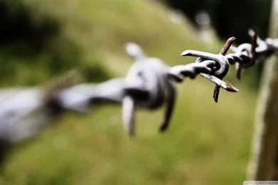 Download Barb Wire Wallpapers 1920x1080