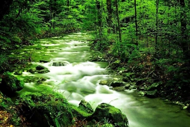 Justpict.com Nature Views Wallpapers