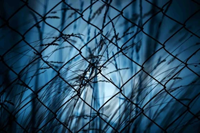 Barbed Wire BW HD Wallpapers Free Download