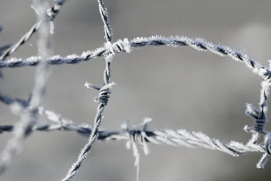 Barbed Wire Wallpapers And Images   Wallpapers, Pictures, Photos