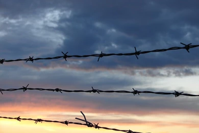 Barbed Wire Sunset Backgrounds By FantasyStock On DeviantArt