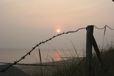 Sunset Barbed Wire   (