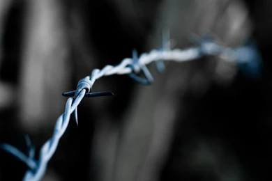 Tangled Light Wires Widescreen Wallpapers