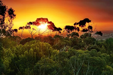 Hd Nature Wallpapers, Landscape, View, Nature Background Images ...