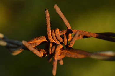 Brown Tag Wallpapers: Nice Brown Living Room Zynah Wallpapers ...