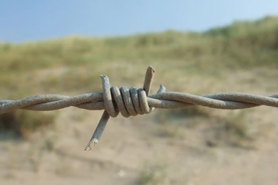 Barbed Wire Wallpapers