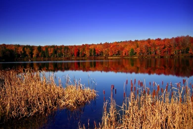 Desktop Wallpapers » Natural Backgrounds » Natural View ...