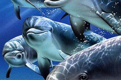 Galaxy S3 Wallpapers HD   Beautiful, Stunning Wallpapers