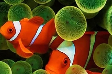 Galaxy S3 Wallpapers HD   Beautiful, Stunning Wallpapers