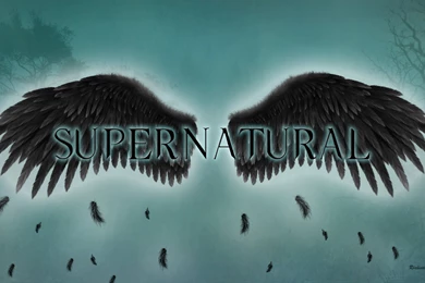 Supernatural   The Fallen Angel Wings By BeAware8 On DeviantArt