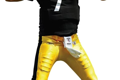 Pittsburgh Steelers Ben Roethlisberger Fathead Jr Brewster ...