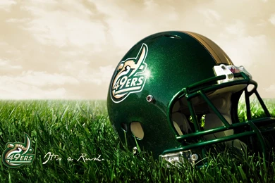 Theme Bin» Blog Archive » San Francisco 49ers HD Wallpapers