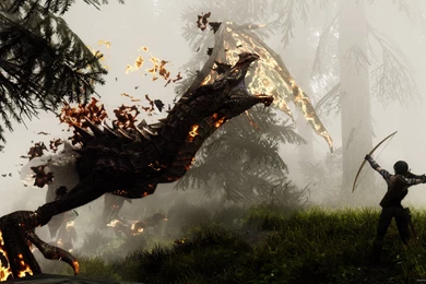 Download 2560x1440 Skyrim Headshot Wallpapers